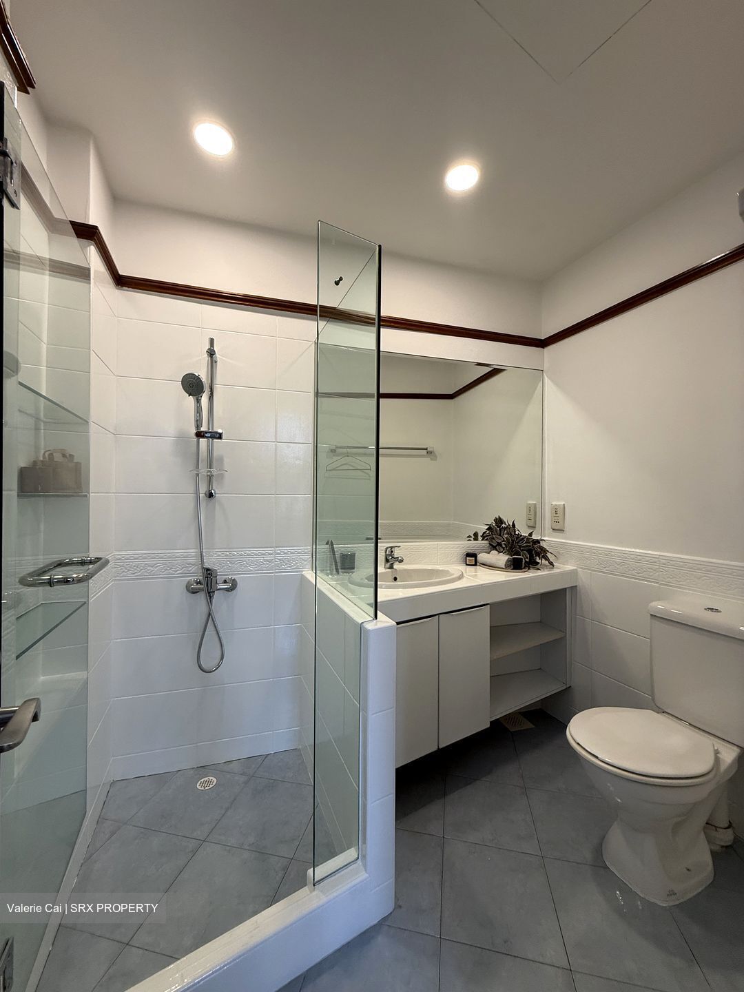 The Draycott (D10), Apartment #565121241